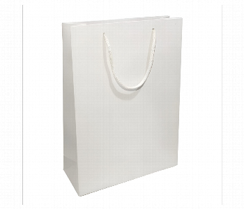 Express Delivery - Medium Sized Stylish Paper Gift Bag Pink - ID 7154485
