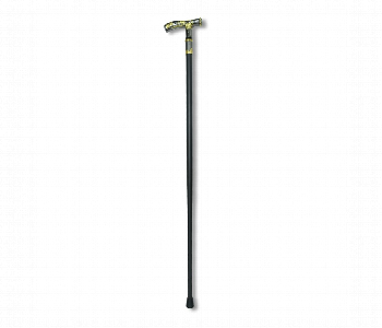 Express Delivery - Naxuji Premium Walking Stick With T Handle Grip . Gold And Black Finish - ID 7154660