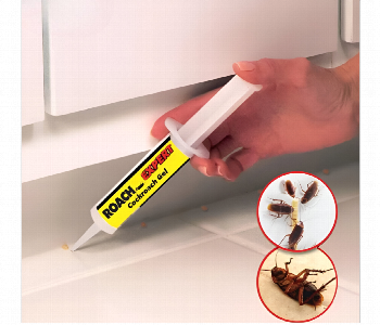 Express Delivery - Cockroach Gel Bait Roach Expert Solution - ID 7155594