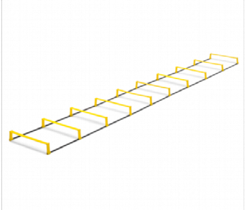 Express Delivery - The 10 Rung Hurdle Ladder Indoor And Outdoor - ID 7158659