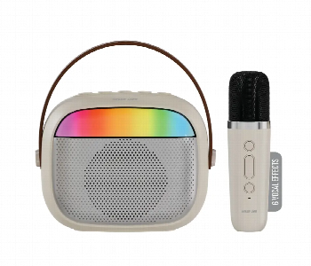Express Delivery - Green Lion Melody Mini Karaoke Speaker Single Mic Beige - ID 7166132