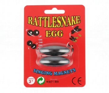 Express Delivery - Rattlesnake Big Egg Singing Magnets Toy - ID 7166401
