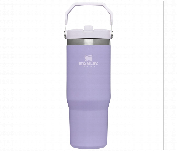 New Arrivals For Stanley Quencher Iceflow Flip Straw Tumbler 30Oz Purple Double Wall Vacuum Insulated Stainless Steel - ID 7166628