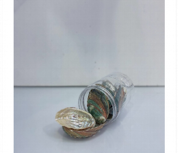 Express Delivery - Abalone Shell 100G Natural Decorative Smudging Shell Jar - ID 7167872