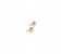 The Mercella 18K Gold Plated Multi Strand Necklace Set 61172635 3 in UAE