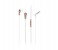 Promate Chrome Metallic Multifunction Stereo Headphones with Microphones, Champagne 1 in UAE