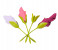 4 Pieces Peleg Design Bloom Flower Paper Napkin Holder - Green 2 in KSA