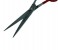 Tips & Toes TT-669RED 6.5 2 in OMAN