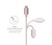 Promate Linkmate-MUL 2 in 1 Heavy Duty Fabric Sync Charge Cable - Rose 3 in UAE