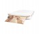 HP 2FR85A Sprocket Plus Printer - 2FR85A 2 in UAE