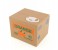  Auto Money stealing Coin Saving Pet Bank MB001 White 2 in UAE