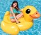 Intex ZX-57556 Yellow Duck Ride-On 2 in OMAN