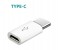 Universal Type-C Male to Micro USB Female Charging Connector for Android Devices UC2 Multicolor 2 in UAE