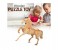 HR212 Hong Ri Wood Craft Assemble Puzzle Steed 4 in UAE
