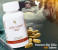 Forever Gin Chia - 100 tablets 1 in OMAN