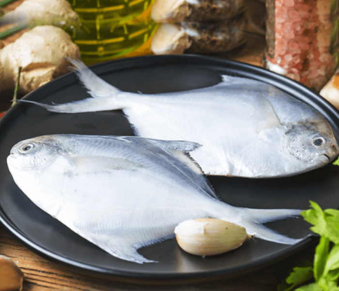 White Pomfret Medium (500 gm) 1 in UAE