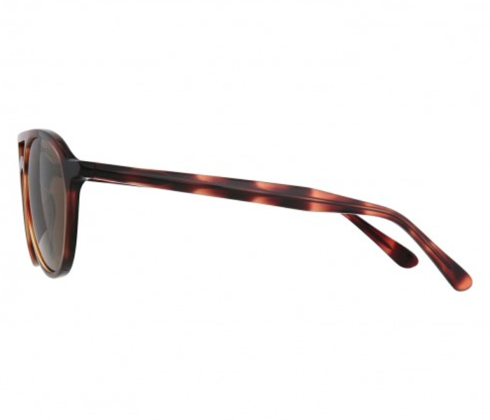 Dion Villard DVSG19042D Round Shape Sunglasses for Men - Brown 2 in UAE