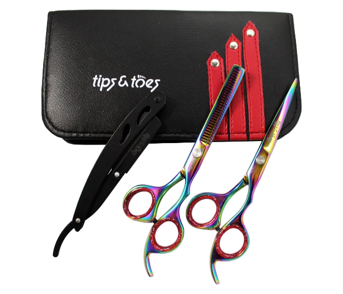 Tips & Toes TT759 Professional Barber Razor Shears Kit - Titanium 3 in UAE