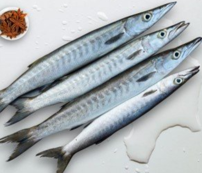 Barracuda / Cheelavu / Thinda (500 gm) 1 in UAE