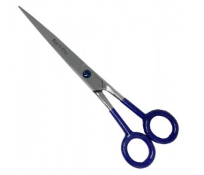 Tips & Toes TT669 2 in 1 Professional Barber Scissors 1 in UAE