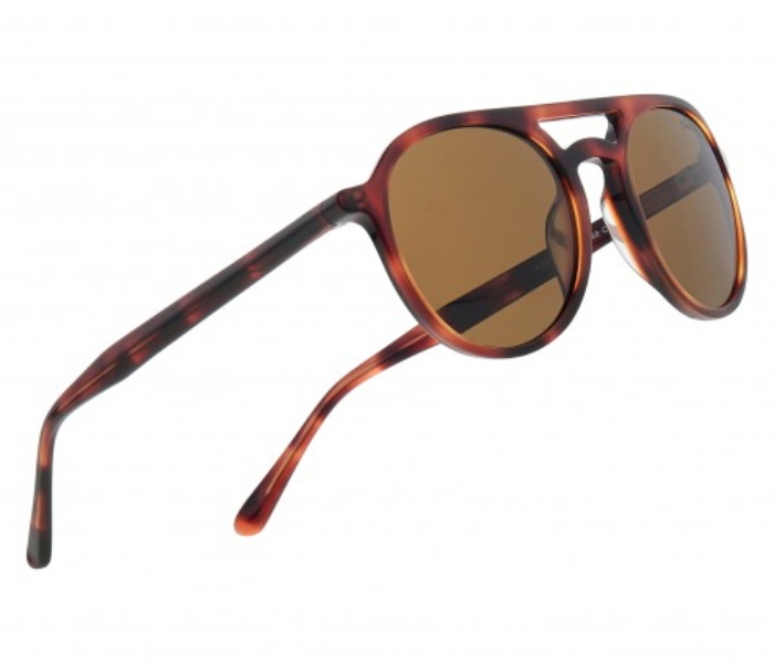 Dion Villard DVSG19042D Round Shape Sunglasses for Men - Brown 3 in UAE