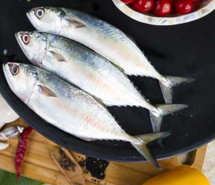 Mackerel / Garfa / Ayala / Bangda(500 gm) 1 in UAE