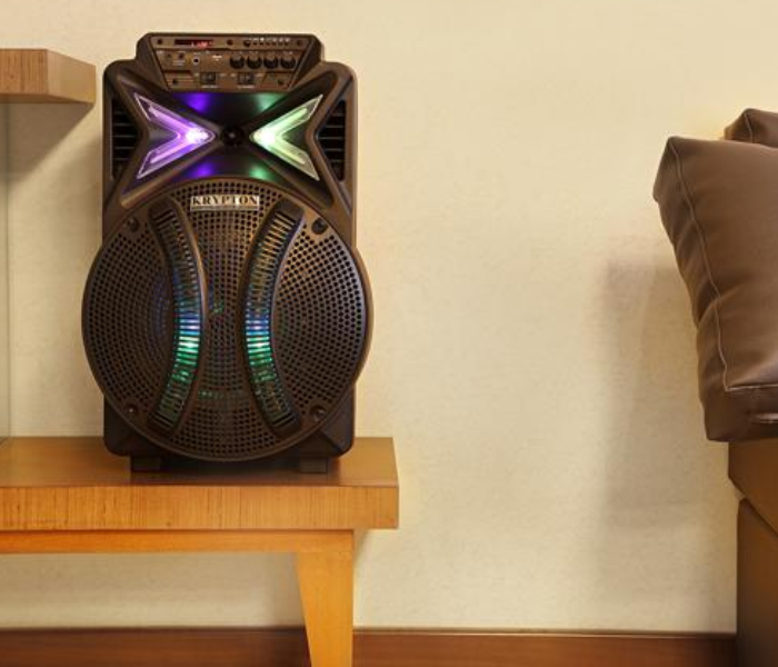 Krypton KNMS6059 Rechargeable Portable Professional Speaker with Mic - Black 3 in UAE