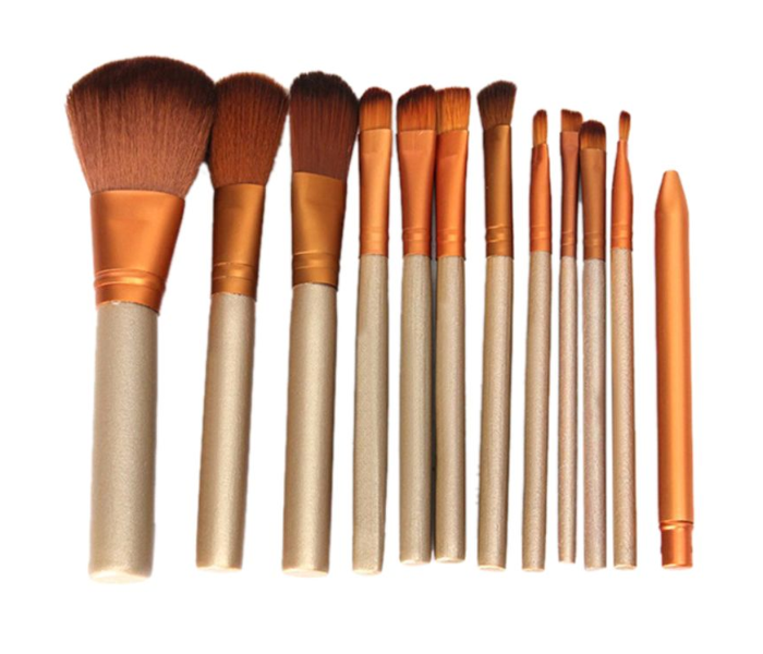 Skin Plus 12 Piece Makeup Brush Set - Bronze 1 in UAE