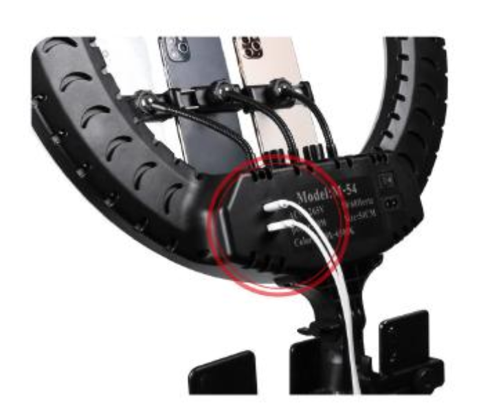TikTok RL-21 21 Inch Led Photography Lighting Video Studio Selfie Ring Light For Youtube Live Stream Photo 3 in OMAN