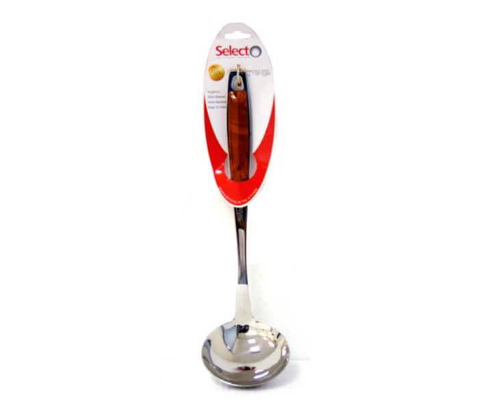 Selecto S1028 Ladle 1 in UAE