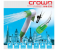 Crownline RPB-220 26 cm Portable And Rechargeable Outdoor Bidet - Green 5 in UAE