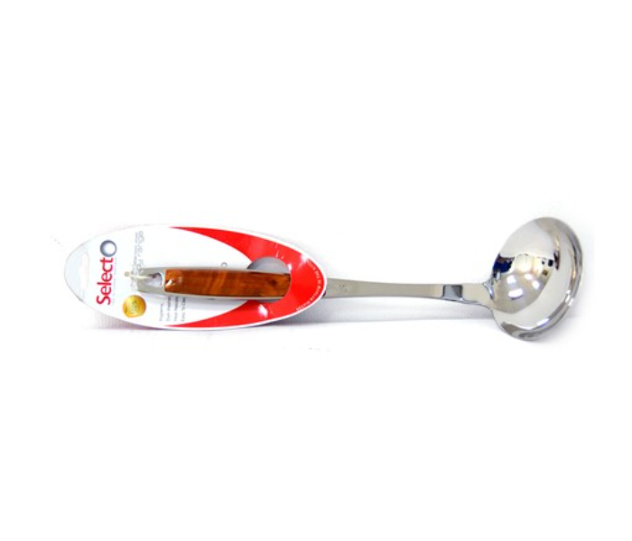 Selecto S1028 Ladle 2 in UAE