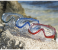 Bestway 22051 Hydro-Swim Blue Devil Mask - Blue 4 in OMAN