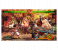 Samurai Shodown Game for PS4 5 in UAE