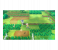 Pokemon Lets Go Pikachu Game for Nintendo Switch 2 in OMAN