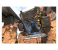 Apex Legends PlayStation 4 Game 4 in OMAN