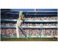 Cricket 19 Game for Nintendo Switch 4 in OMAN