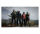 World War Z Game for PS4 3 in UAE