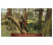 Assassins Creed 3 Remastered Game for Nintendo Switch 2 in UAE