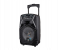 Impex TS25B Multimedia Trolley Speaker - Black(duplicate) 1 in OMAN