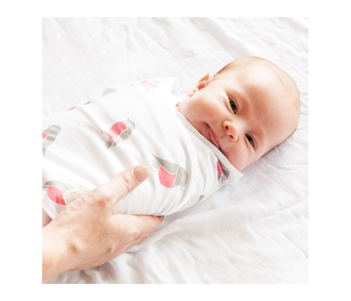 Bebitza Be Swaddle - Bird 4 in UAE
