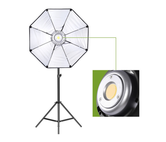 GVM P80S LED 4 Light Kit with Umbrellas Softboxes and Backdrops 3 in UAE
