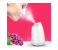 Maoer Fruit-Infusing Facial Steamer - White 5 in UAE