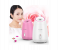 Maoer Fruit-Infusing Facial Steamer - Pink 2 in UAE