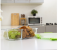 Royalford RF9219 2 Compartment Food Container - 1500ml, Clear & Green 2 in UAE