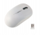 Meetion R545 Cordless Optical USB Computer 2.4GHz Wireless Mouse - White 1 in OMAN