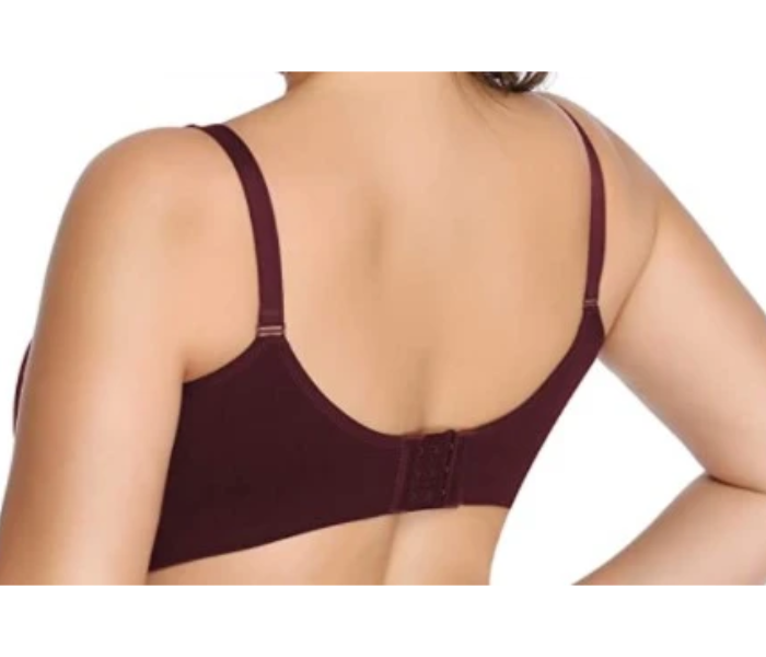 Buy Pack of 3 Small Lataly Womens 70560 Price in Qatar, Doha