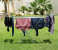 RoyalFord RF9342 Metal Dress Dryer - Silver 2 in OMAN