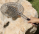 RoyalFord RF9392 Round BBQ Grill - Silver & Black, 30cm 1 in UAE