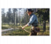 Red Dead Redemption 2 for PS4 4 in UAE